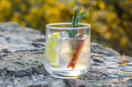 Foto de producto GIN PERRO DESTERRADO