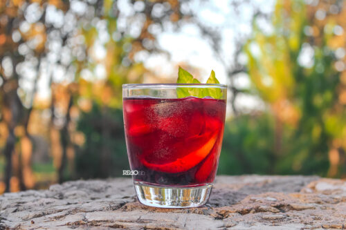 Foto de producto GIN PERRO DESTERRADO